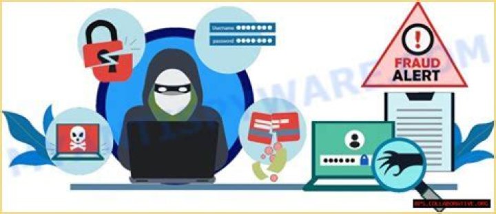A Deep Dive Into Fraudulent Practices