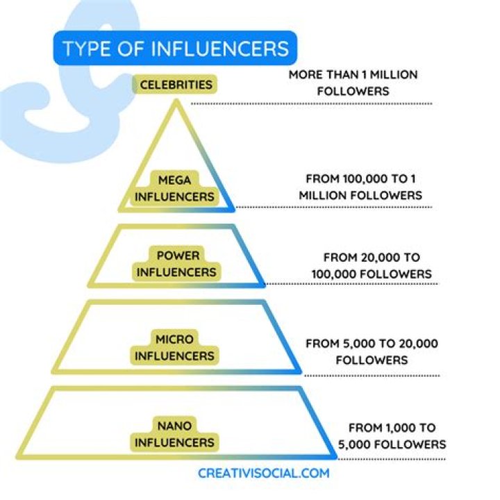 The Influencer with a Massive Following |
